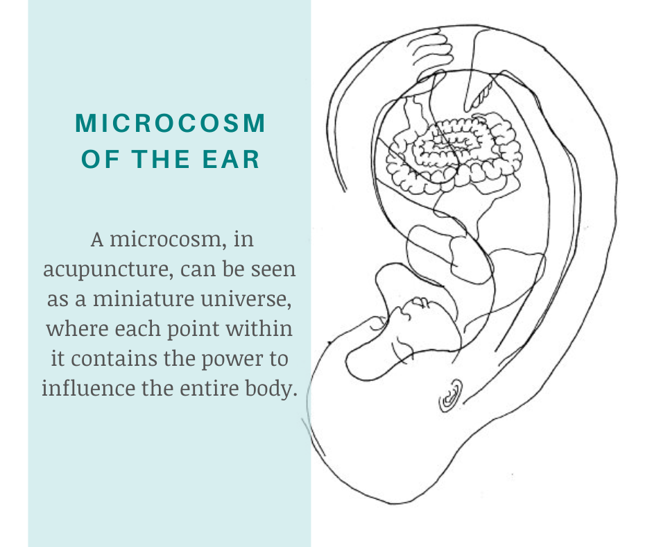 Microcosm of the ear