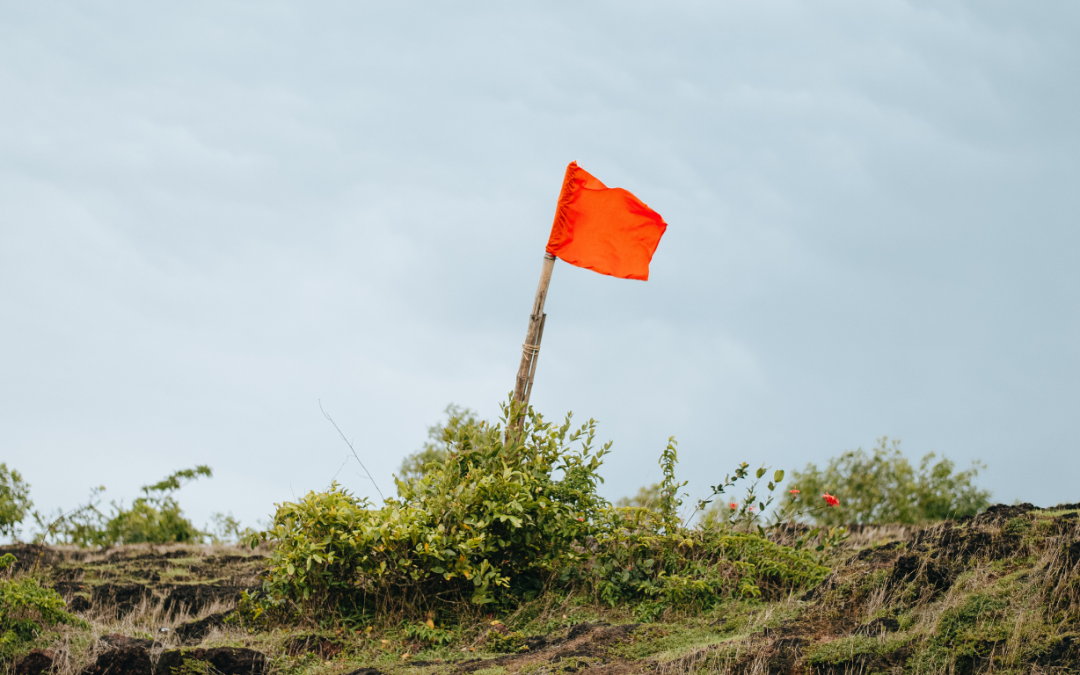 Red Flags for Chiropractic Care